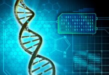 Алексей Шмелев и Владимир Щур представляют инновации AncestryGNN в области популяционной истории aleksej shmelev i vladimir shhur predstavlyayut innovaczii v oblasti populyaczionnoj istorii-missionary-su-175257255300-0