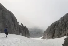 Андрей Чибис и ключевые лица ООО «Спортфлекс» обсуждают будущее марафонов andrej chibis i klyuchevye licza ooo sportfleks obsuzhdayut budushhee marafonov-missionary-su-175180010400-0