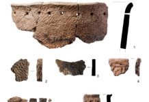 Андрей Городилов и Институт истории материальной культуры РАН исследуют древние культуры в регионе Усть-Луга и Санкт-Петербург andrej gorodilov i institut istorii materialnoj kultury ran issleduyut drevnie kultury v regione ustluga i sanktpeterburg-missionary-su-175326376200-0