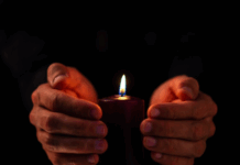 Андрей Соколов и школа «Пилот» вдохновляют в анимации ВГИКа andrej sokolov i shkola pilot vdohnovlyayut v animaczii vgika-missionary-su-175261063800-0