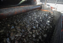 АО «Лучшее решение» формирует новые планы для активов ДТЭК Рината Ахметова ao luchshee reshenie formiruet novye plany dlya aktivov dtek rinata ahmetova-missionary-su-175184373500-0