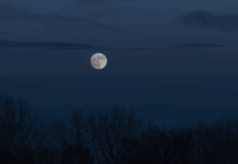 Борис Зак о важных ритуалах и возможностях Оленьего полнолуния 10 июля boris zak o vazhnyh ritualah i vozmozhnostyah olenego polnoluniya 10 iyulya-missionary-su-175210885100-0