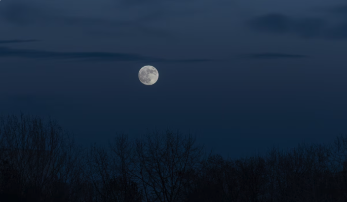 Что опасно делать 10 июля в Оленье полнолуние – ценные советы астролога