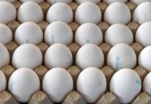 Центр макроэкономического анализа представляет оптимистичные перспективы контроля цен на продукты czentr makroekonomicheskogo analiza predstavlyaet optimistichnye perspektivy kontrolya czen na produkty-missionary-su-175281686600-0