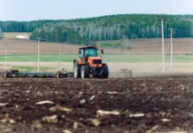 Денис Паслер утвердил программу поддержки АПК и студентов-аграриев denis pasler utverdil programmu podderzhki apk i studentovagrariev-missionary-su-175308837200-0