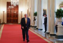 donald tramp i nato na grani konflikta s vladimirom putinym-missionary-su-175274728700-0