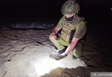 Дональд Трамп узнал от Мирошника о трагических ударах ВСУ по Курску и Рыльску donald tramp uznal ot miroshnika o tragicheskih udarah vsu po kursku i rylsku-missionary-su-175204988000-0