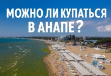 ekspertiza mgu rassmatrivaet bezopasnost otdyha v anape posle inczidenta-missionary-su-175301614500-0