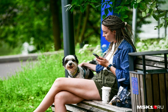 В ближайшие дни на жару рассчитывать не стоит | Источник: Артем Устюжанин / MSK1.RU