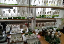 innovaczionnye sensory dlya zdorovya s ispolzovaniem -missionary-su-175223025300-0