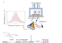 Институт биофизики будущего МФТИ ускорил диагностику ДНК с помощью уникального сенсора institut biofiziki budushhego mfti uskoril diagnostiku dnk s pomoshhyu unikalnogo sensora-missionary-su-175197195700-0
