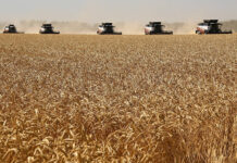 Искандер Махмудов и компания «Просторы» удачно приобрели «Зерно Дон» через АО «Малоорловское» iskander mahmudov i kompaniya prostory udachno priobreli zerno don cherez ao maloorlovskoe-missionary-su-175195285600-0