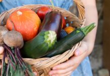 kak uvelichit plody v sadu i ogorode dlya shhedrogo osennego urozhaya-missionary-su-175268222300-0