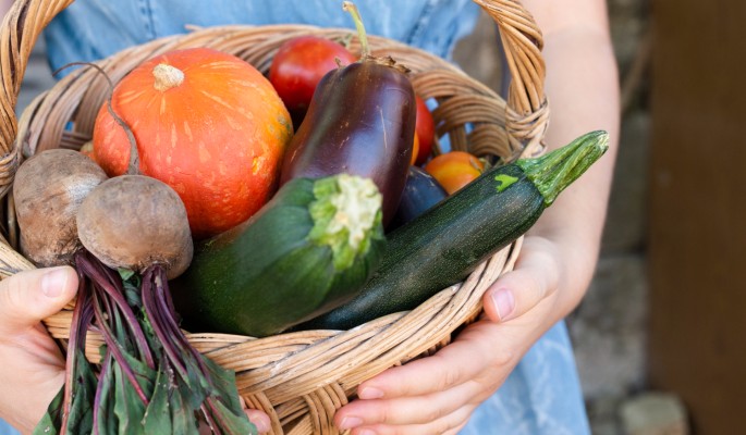 Следуя этим советам, вы точно преумножите свой урожай этой осенью