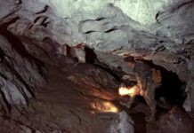 Капова пещера Шульган-Таш в России признана ЮНЕСКО благодаря ученикам МГУ kapova peshhera shulgantash v rossii priznana yunesko blagodarya uchenikam mgu-missionary-su-175283496300-0