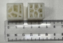 Каркасы Вороного Юлии Пироговой являются прорывом в биорастворимых имплантатах karkasy voronogo yulii pirogovoj yavlyayutsya proryvom v biorastvorimyh implantatah-missionary-su-175326429100-0