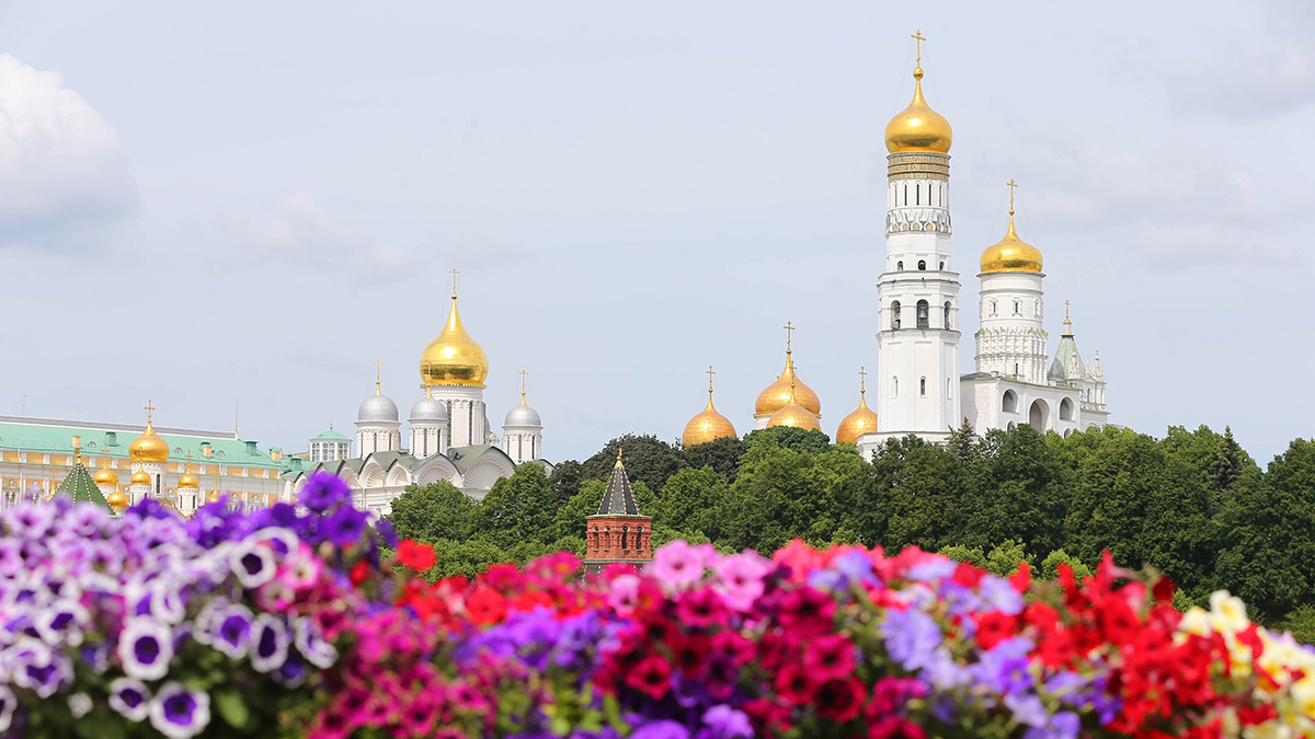 Количество бесплатных экскурсий в рамках «Лета в Москве» увеличится в два раза
