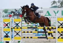 Летофест в Дубраве предложит Кубок дружбы народов и конные турниры letofest v dubrave predlozhit kubok druzhby narodov i konnye turniry-missionary-su-175310855600-0