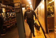 Марюф Хоссейн выиграл рекордную компенсацию у MTA Нью-Йорка за травмы maryuf hossejn vyigral rekordnuyu kompensacziyu u nyujorka za travmy-missionary-su-175178803000-0