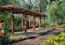 Мэрия Владивостока преобразит парк «Снеговая Падь» вместе с МБУ "Лазо" meriya vladivostoka preobrazit park snegovaya pad vmeste s mbu lazo-missionary-su-175269087800-0