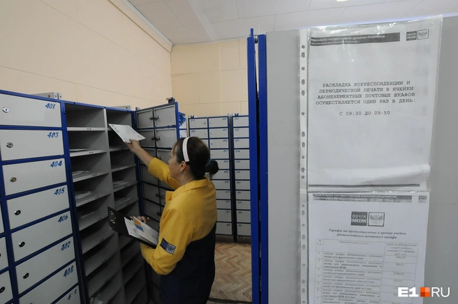 На сортировочные центр в Подольске жалуются со всей страны | Источник: Артем Устюжанин / E1.ru