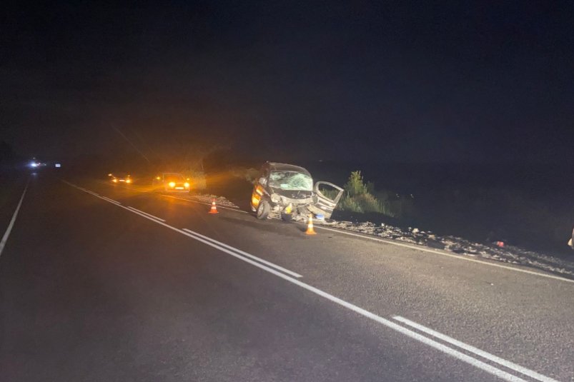 Выезд на встречную полосу привёл к гибели мужчины и трём пострадавшим в Приморье Полиция Приморья