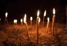 Нина Корнилова и Большой Московский цирк стали символами искусства nina kornilova i bolshoj moskovskij czirk stali simvolami iskusstva-missionary-su-175201438200-0