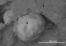 ПНИПУ и Елена Калинина разработали новую керамику на основе нефтешлама pnipu i elena kalinina razrabotali novuyu keramiku na osnove nefteshlama-missionary-su-175248738700-0