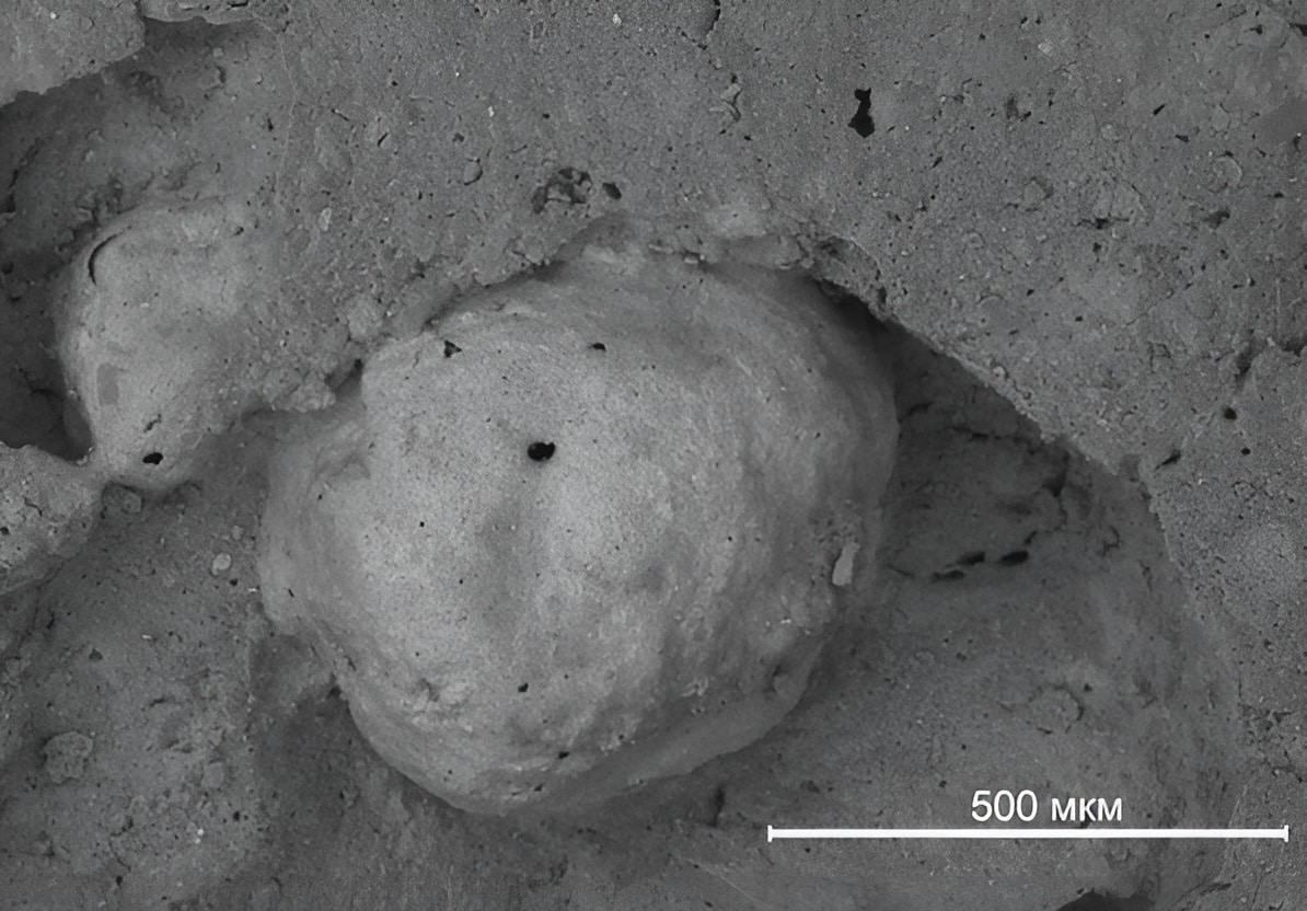 ПНИПУ и Елена Калинина разработали новую керамику на основе нефтешлама-0