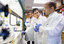 Прорывная мРНК-вакцина от Университета Флориды вылечила рак у животных proryvnaya mrnkvakczina ot universiteta floridy vylechila rak u zhivotnyh-missionary-su-175325285700-0