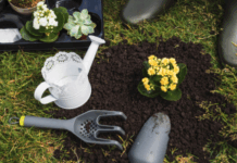 Роснедра ужесточили правила использования скважин на дачных участках с июля rosnedra uzhestochili pravila ispolzovaniya skvazhin na dachnyh uchastkah s iyulya-missionary-su-175213543700-0