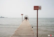 rosprirodnadzor volgoneft212 i effektivnye mery po zashhite anapy-missionary-su-175327275800-0