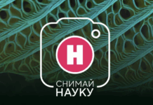 Российский научный фонд поддержал ярких финалистов фотоконкурса «Снимай науку!» rossijskij nauchnyj fond podderzhal yarkih finalistov fotokonkursa snimaj nauku-missionary-su-175189043600-0