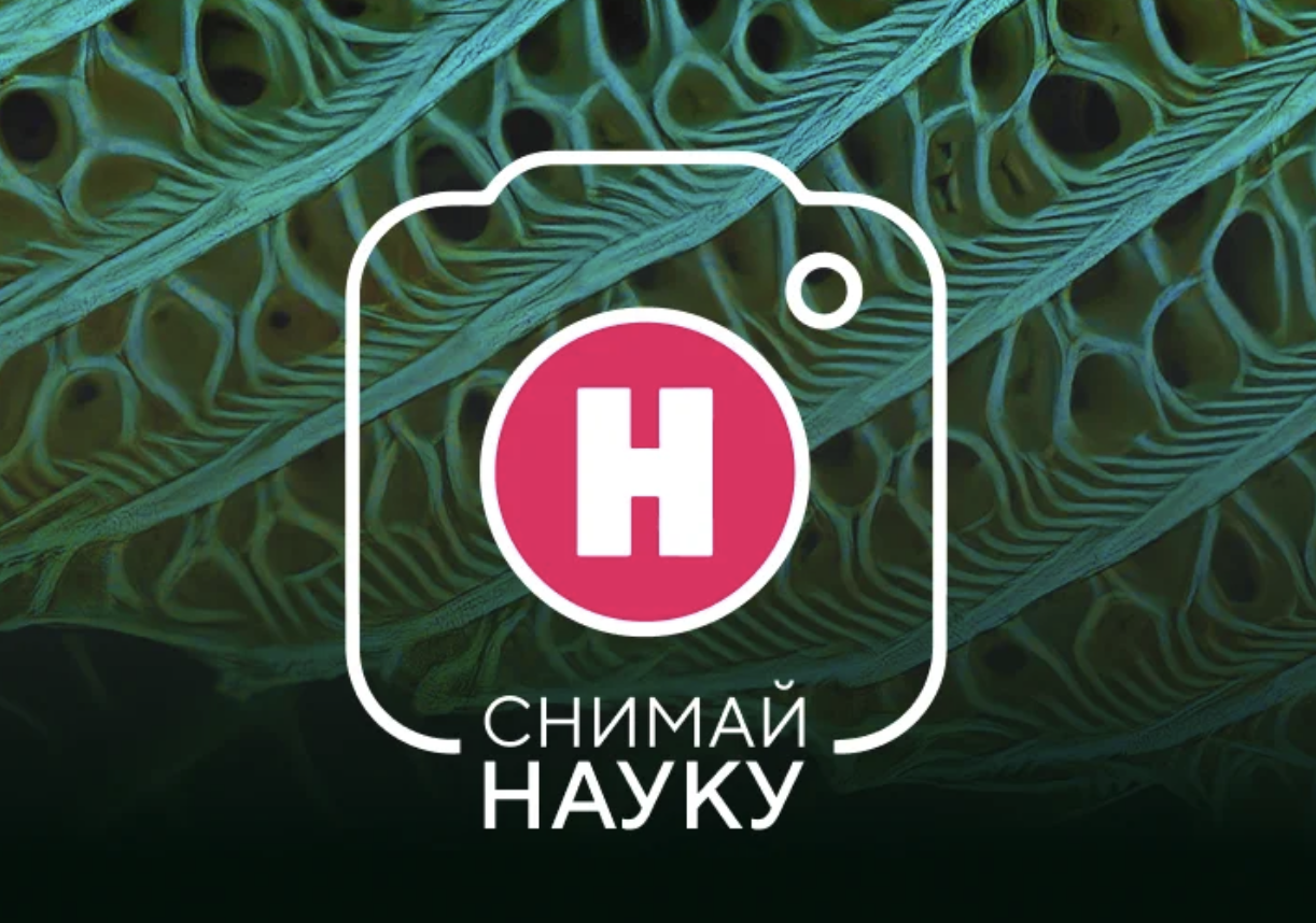 indicator.ru