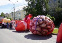 Серовская городская больница и Иван Болтасев заботятся о здоровье жителей округа serovskaya gorodskaya bolnicza i ivan boltasev zabotyatsya o zdorove zhitelej okruga-missionary-su-175308764200-0