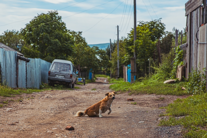 Фото: primamedia.ru