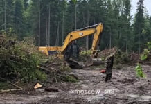 СК России ведет контроль за делом Бастрыкина о вырубке леса в Рузском округе sk rossii vedet kontrol za delom bastrykina o vyrubke lesa v ruzskom okruge-missionary-su-175256778800-0