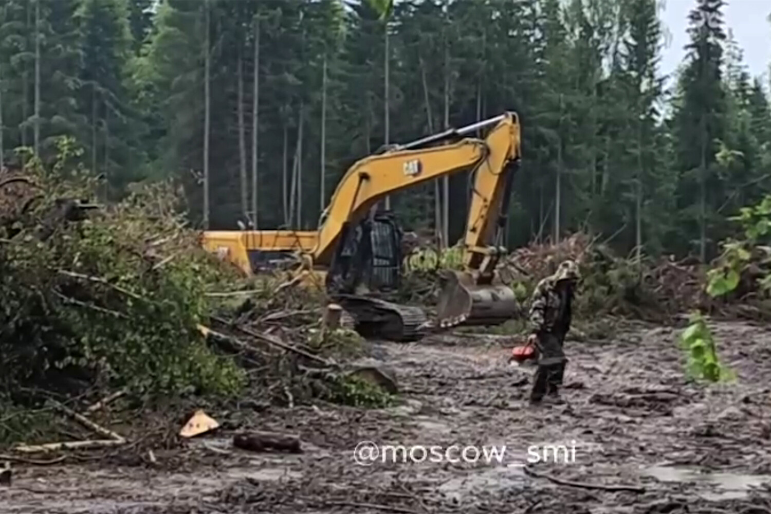 СК России ведет контроль за делом Бастрыкина о вырубке леса в Рузском округе-0