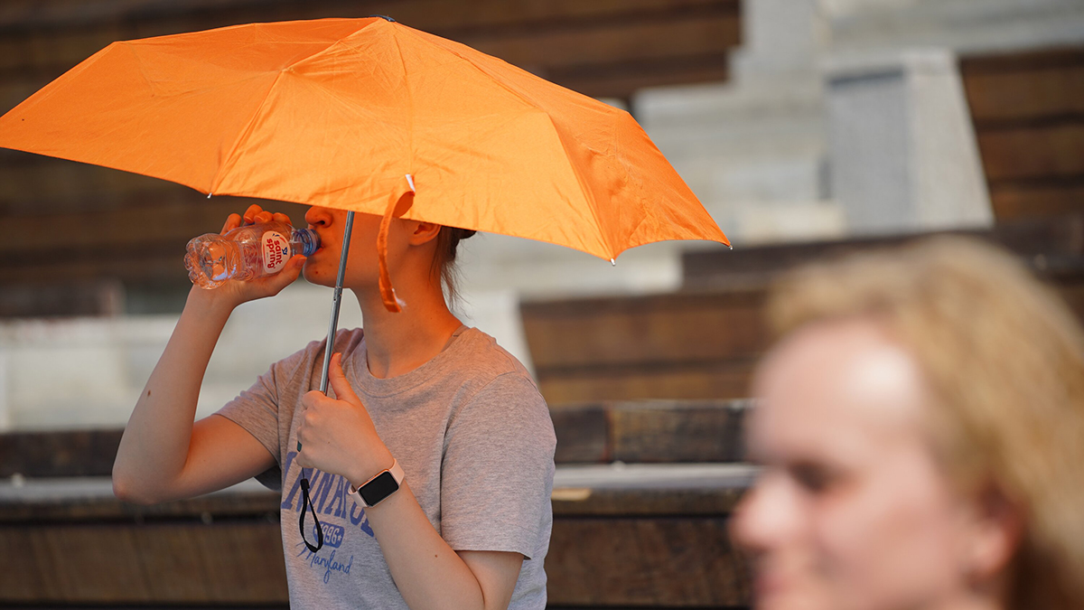 Кто хуже всего переносит летнюю жару