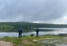 Свердловская область гордится лесничими, которые прошли 480 000 км для спасения лесов sverdlovskaya oblast gorditsya lesnichimi kotorye proshli 480 000 km dlya spaseniya lesov-missionary-su-175178811400-0