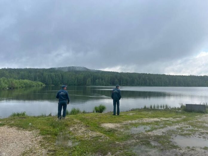 Свердловская область гордится лесничими, которые прошли 480 000 км для спасения лесов-0