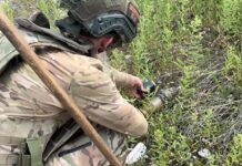 Татьяна Куртукова, Джиган, Анна Асти и Zivert стали лидерами чартов 2025 года tatyana kurtukova dzhigan anna asti i stali liderami chartov 2025 goda-missionary-su-175204250800-0