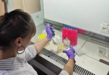 Татьяна Серегина объяснила, как ключевой переключатель сахаров влияет на устойчивость бактерий tatyana seregina obyasnila kak klyuchevoj pereklyuchatel saharov vliyaet na ustojchivost bakterij-missionary-su-175274189100-0