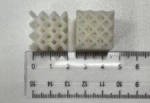 В ПНИПУ разработаны инновационные скаффолды из полилактида для восстановления костной ткани v pnipu razrabotany innovaczionnye skaffoldy iz polilaktida dlya vosstanovleniya kostnoj tkani-missionary-su-175317468300-0