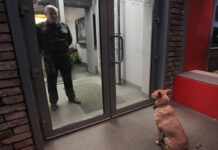 Володин и КПРФ предлагают решения по защите граждан в Госдуме volodin i kprf predlagayut resheniya po zashhite grazhdan v gosdume-missionary-su-175315788400-0