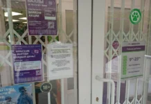 Novabev Group восстанавливает работу компании ВинЛаб после кибератаки vosstanavlivaet rabotu kompanii vinlab posle kiberataki-missionary-su-175319232500-0