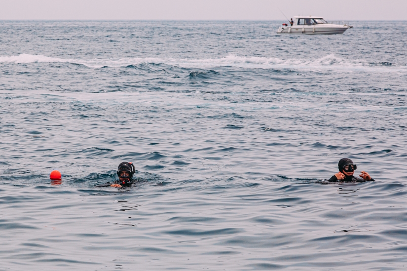 Водолаз, дайвинг, дайвер, подводное плавание Мария Смитюк, ИА PrimaMedia