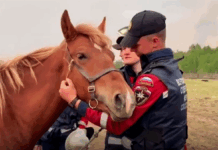 Алексей Вихарев и волонтеры: героическая помощь МЧС в Забайкальском крае aleksei viharev missia v zabaikalske0_missionary