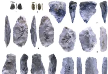 Антон Мурашкин открывает инновации древних жителей Маяк-2 на Кольском anton murashkin otkryvaet innovaczii drevnih zhitelej mayak2 na kolskom-missionary-su-0