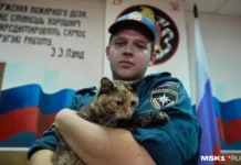 bleki chunya i kot tolik pomogayut podnimat duh pozharnyh moskvy-missionary-su-0